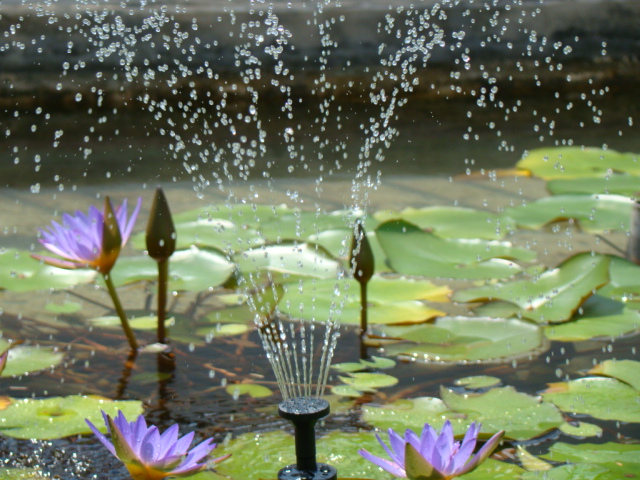 Solar Fountain Pump With LEDs Light & Timer