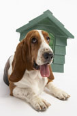 Solar Ventilation Fan for Dog House